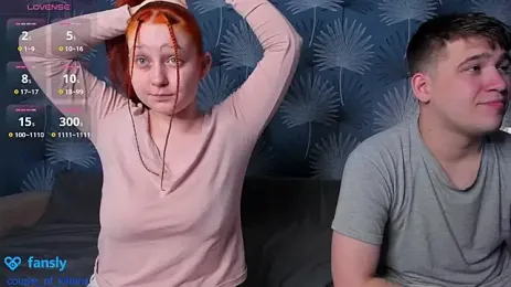 imagem do stream de couple_of_kittens_