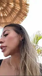 imagem do stream de Palmer__