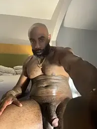 imagem do stream de QHefner52