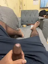 funtamilan visualização da webcam
