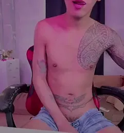 imagem do stream de Prince-Yves