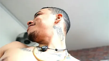 imagem do stream de AlphaMasterXxx
