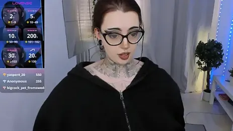 imagem do stream de Dixi_Pixi_