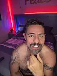 imagem do stream de wolfbucker