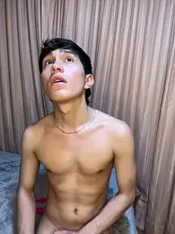 imagem do stream de Bryanwild