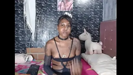 imagem do stream de BebaFoxx