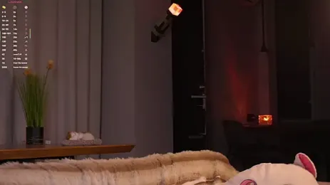 imagem do stream de EdlinAlliston