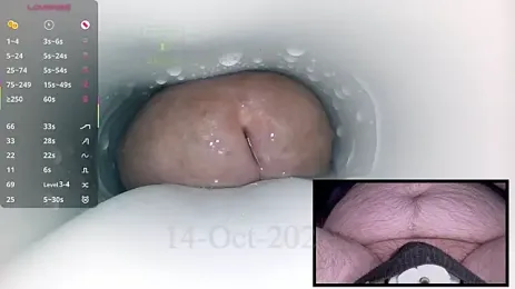 controlmytoys webcam stripchat model stream image
