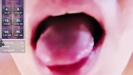 imagem do stream de xiaoqingren