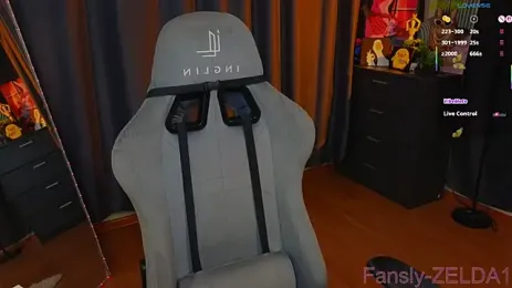 imagem do stream de zelda_1